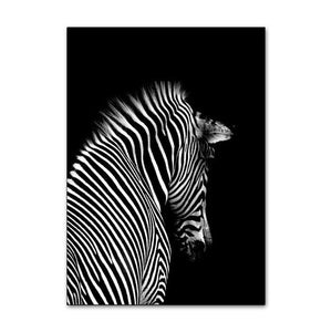 Black White Jungle photos - Giftexonline