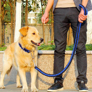 Leash(1.2m)  for medium and large dogs