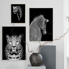 Cargar imagen en el visor de la galería, Black White Jungle photos - Giftexonline
